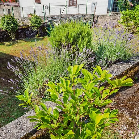 Appartement Pilcic Sapjane