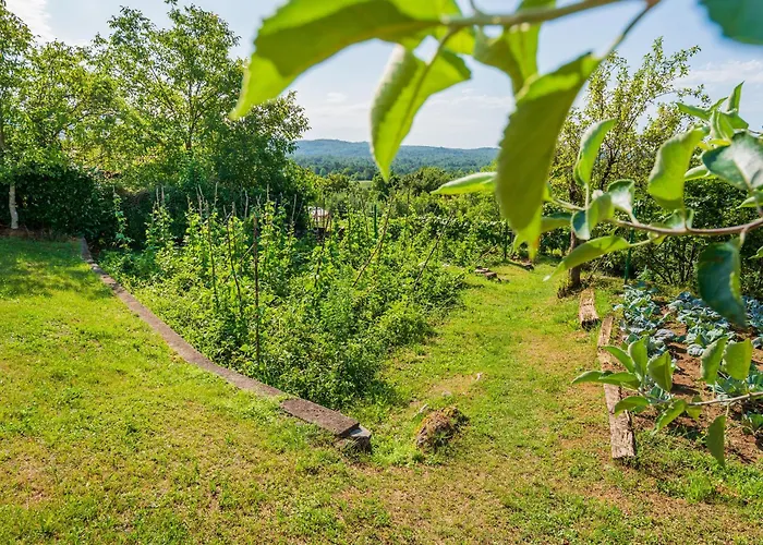 Apartmán Pilcic