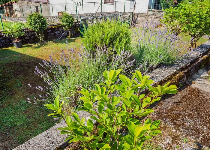 Apartmán Pilcic Sapjane